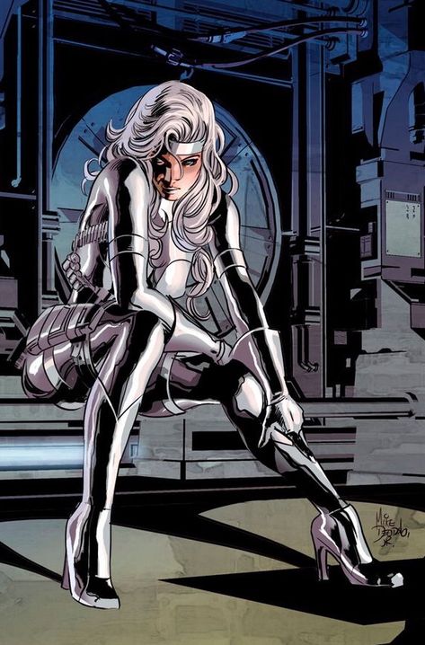 Silver Sable Superhero Women, Silver Sable, Mike Deodato, Marvel Knights, Comics Girls, Silver Surfer, Marvel Comics Art, Marvel Girls, Baywatch