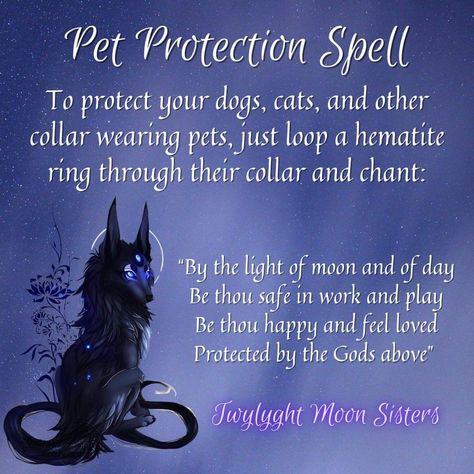 Pet Protection Spell, Charmed Book Of Shadows, Easy Spells, Protection Spell, Witch Spirituality, Magic Spell Book, Spiritual Journals, Wiccan Witch, Wiccan Spell Book