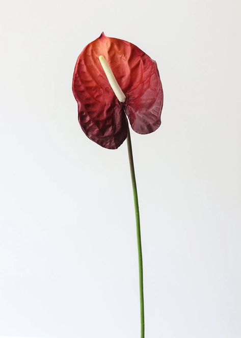 Deep Burgundy Red Large Anthurium | Fake Tropical Flowers | Afloral Red Flower Aesthetic, Red Flowers Aesthetic, Fuchsia Wedding Flowers, Deep Red Flowers, Red Anthurium, Jw Library, Artificial Palm Leaves, Orchid Leaves, Anthurium Flower