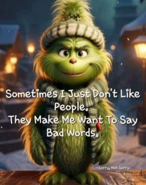 Grinch Memes, Grinch Images, Funny Mean Quotes, Der Grinch, Grinch Quotes, Funny Day Quotes, Funny Animals With Captions, Good Morning Funny Pictures, Funny Good Morning Quotes