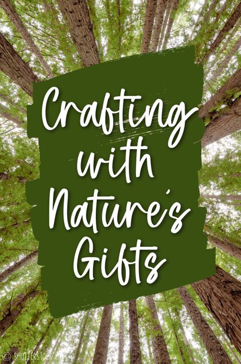 Nature really is an amazing craft store- and you don't need a coupon to afford the supplies. Flowers and seed pods and driftwood for days, there are so many sources of natural craft supplies. And this collection will surely inspire you to make some nature crafts with all the bits you've picked up and collected over time. Crafts Using Natural Materials, Driftwood Garden Ideas Outdoors, Simple Nature Crafts, Natural Craft Ideas, Nature Crafts To Sell, Crafts Made From Nature, Easy Adult Crafts Simple Diy Ideas, Natural Materials Art, Nature Crafts For Adults Diy