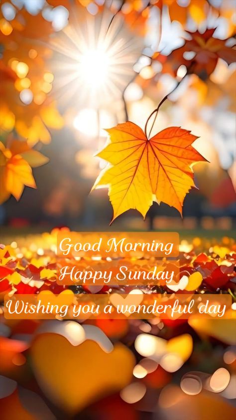 Happy Sunday Fall Images, Thankful Sunday Blessings, Fall Sunday Morning Quotes, Sunday Morning Wishes Happy, Sunday Blessings Mornings, Good Morning Sunday Gif, Happy Sunday Images Beautiful, Sunday Blessings Inspiration, Happy Sunday Messages