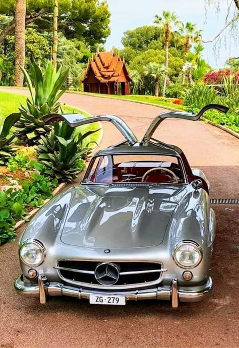 300sl Gullwing, Benz 300sl, Mercedes Benz 300sl, Mercedes Benz 300 Sl, Old Mercedes, Mercedes 300sl, Old Vintage Cars, Mercedes Sl, Mercedes Benz 300