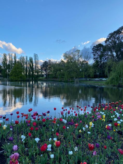 Croquis, Nature, Australian Nature Photography, Canberra Australia Aesthetic, Australia Winter Aesthetic, Winter Aesthetic Australia, Canberra Aesthetic, Australian Summer Aesthetic, Aussie Aesthetic