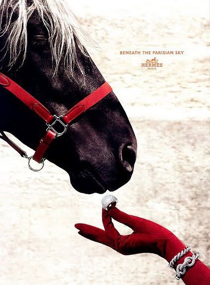 Kelly Bags, Equestrian Chic, Woman In Red, Foto Art, Black Horse, Horse Love, Equestrian Style, Wine Cellar, Ad Campaign