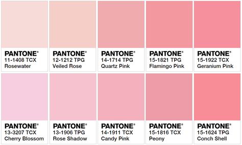 Pantone Book Cover Edition: 50 Shades of Pink that Evoke Diverse Feeling of Euphoria – Tale Out Loud Color Palette With Pink, Pink Pantone, Shades Of Pink, Color Chart, Pink Color, Mood Board, Shades, Pink, Color