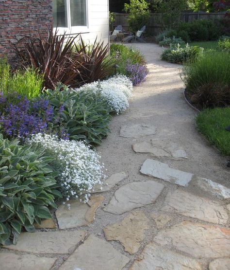 DG and flagstone combo and planting Dg And Flagstone Patio, Flagstone Path With Gravel, Flagstone Gravel Patio, Flagstone And Decomposed Granite Patio, Flagstone Dining Patio, Dg Pathway Walkways, Flagstone Courtyard, Flagstone Pathway, Flagstone Pavers