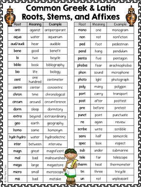 greek and latin word roots and stems Root Words Activities, Latin Root Words, Suffixes Worksheets, Teaching Latin, Text Structures, Prefixes And Suffixes, Latin Phrases, Latin Word, Root Words