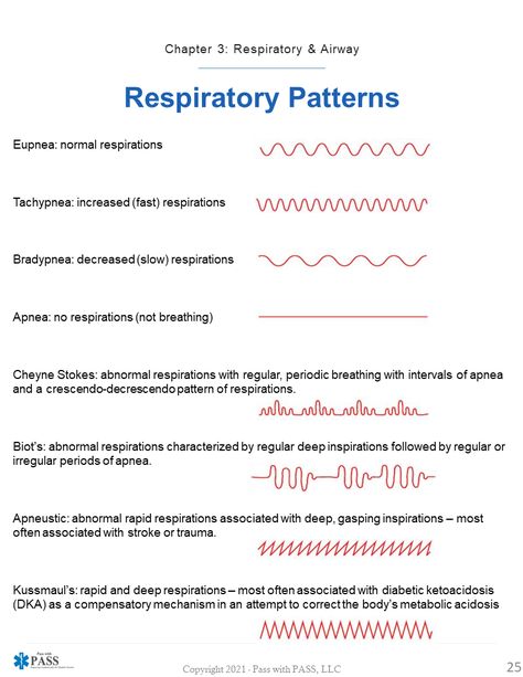 😨Taken from our EMT, AEMT & Paramedic NREMT Study Guides 📖 - this one pager gives you a quick glimpse of the different types of breathing patterns! ​​​🌐 www.passwithpass.com #emt #emtstudent #emtstudents #nremt #paramedicschool #medicstudents #medicstudent #paramediclife #paramedico #paramedical #emtschool #medicschool #medic #futureparamedic #passwithPASS #nremtp #nremtprep #futureEMT #ambulance #nremtexam #emtclass #emseducation Emt Cheat Sheets, Paramedic Study Cheat Sheets, Medical School Notes Study Guides, Emt Basic Notes, Emt Study Tips, Paramedic School Essentials, Emt School Notes, Emt Medical Terminology, Paramedic Notes Cheat Sheets