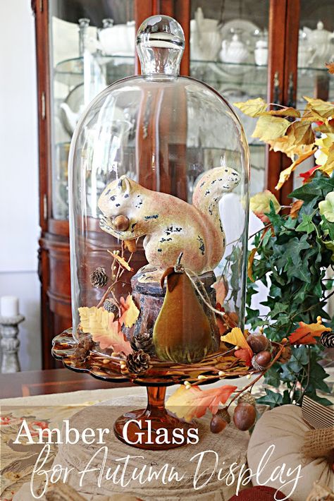 common ground : Amber Glass for Autumn Displays Cloche Display, Cloche Ideas, Cloche Decor, Cake Pedestal, Fall Vignettes, Thanksgiving Wishes, Lantern Ideas, Autumn Display, Vintage Thanksgiving