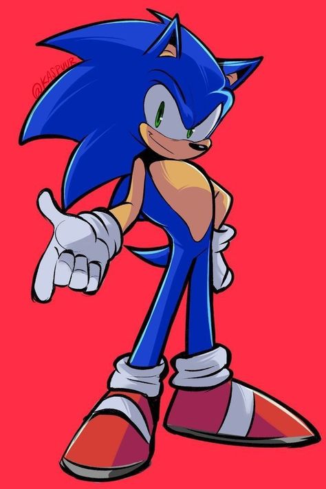 Sonic The Hedgehog Coloring, How To Draw Sonic, Hedgehog Drawing, Amy The Hedgehog, Sonic Heroes, Sonic And Amy, Sonic Fan Characters, Sonic Adventure, Hedgehog Art