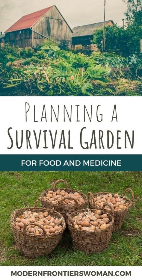 Food Landscaping, Plan Potager, Survival Preparedness, Survival Garden, Bush Craft, Homestead Gardens, Survival Gardening, Garden Wallpaper, Ancient Technology