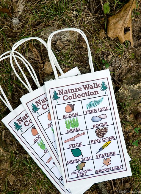 Nature Walk Preschool Free Printable, Preschool Nature Walk Activities, Nature Walk For Preschoolers, Nature Activities Kindergarten, Nature Walk Scavenger Hunt Preschool, Outdoor Preschool Lessons, Nature Walk Ideas Preschool, Nature In Classroom, Homeschool Outdoor Activities Kindergarten