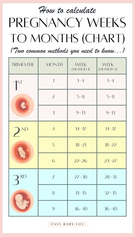 Finding how to calculate pregnancy weeks to months CONFUSING? Well, it is! Bookmark this super handy pregnancy weeks to months  chart with two common methods! The article also explains how to calculate the trimesters of pregnancy and due date. Perfect first pregnancy info for new moms!  (Also for mamas interested in pregnancy tips, pregnancy advice, pregnancy week by week, pregnancy stages, early pregnancy, pregnancy months, getting pregnant, pregnancy guide.) Pregnancy Weeks To Months, Weeks To Months Pregnant, Trimester Chart, Pregnancy Weeks, Conception Date, Pregnancy Chart, Week By Week Pregnancy, Baby Weeks, Pregnancy Facts