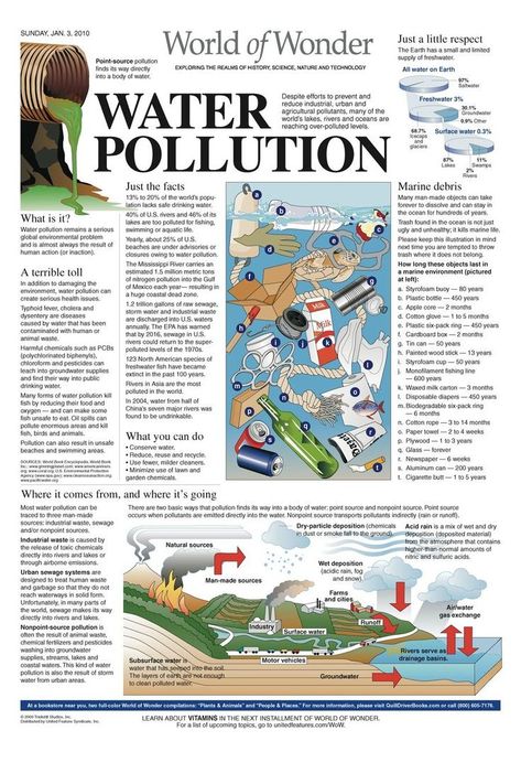 Credit: andrewsmcmeel.com Water Pollution Poster, Pollution Poster, World History Facts, Science Infographics, Passive Aggressive Behavior, Aggressive Behavior, Writing Editing, Reading Comprehension Lessons, World History Lessons