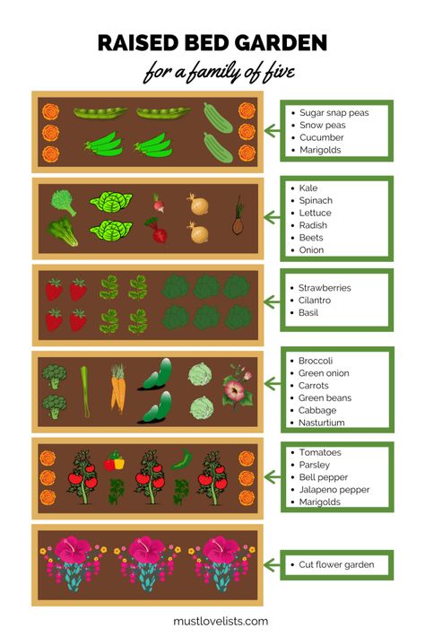 Different Types Of Plants, Garden Plot, Raised Garden Bed Plans, Raised Bed Garden, Vegetable Garden Raised Beds, Backyard Garden Layout, Garden Layout Vegetable, Vegetable Garden Planning, Homestead Gardens