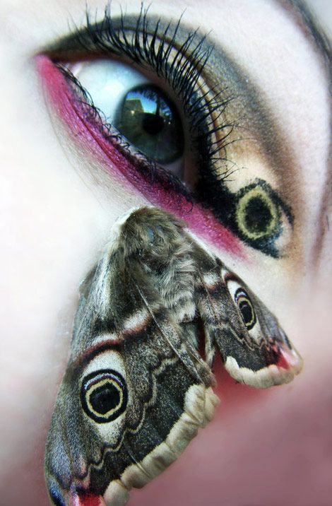 nice moth wing look Intense Makeup, Pretty Eye Makeup, Make Up Inspiration, Fantasy Makeup, Eye Make, Eye Art, Pretty Eyes, Creative Makeup, A Butterfly