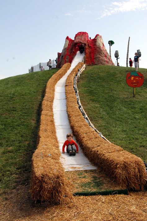 Cox Farms Volcano Slide  Do you love Fall Festivals as much as we do? From September until November there are so many wonderful festivals in the DC area. Cox Farms is a favorite!  #PackMoreIntoLife #FallFestivals #FamilyFun #October #Pumpkin Town Halloween Festival, Town Fall Festival Ideas, Festival Diy Ideas, Fall Farm Festival, Diy Pumpkin Patch For Kids, Pumpkin Festival Ideas, Pumpkin Patch Business Ideas, Agrotourism Ideas Farms, Agritourism Ideas Farms