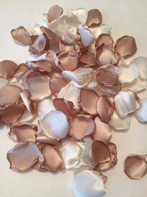 Rose Petals, Champagne, Shells, Pink, Gold, White, Color