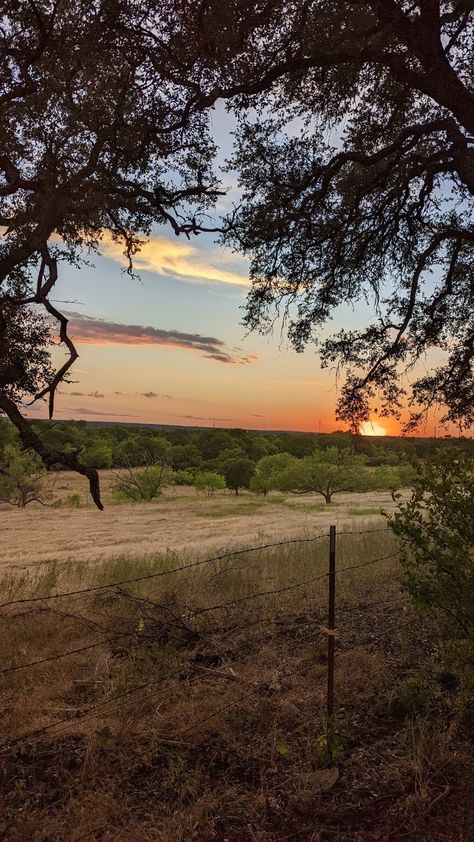 Stay on a Ranch Outside Austin Texas! — Ginger Finding Roots Austin Texas Nature, Old Texas Aesthetic, Texas Country Aesthetic, Texas Ranch Aesthetic, Cowgirl Perfume, West Texas Aesthetic, Texas Aesthetic Vintage, Tennessee Ranch, Austin Texas Aesthetic