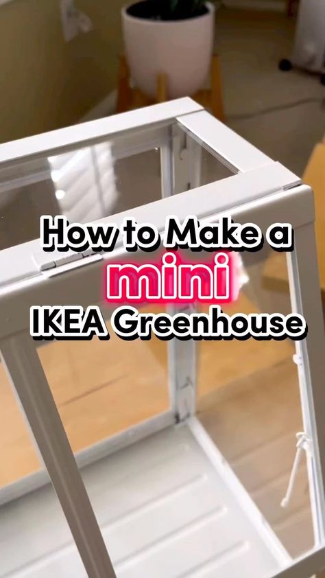 Planty Club | The mini greenhouse is a beginner friendly DIY that’s perfect for quarantining new plants, growing props, and helping small plants that… | Instagram Herb Greenhouse Mini, Homemade Mini Greenhouse, Small Space Greenhouse, Miniature Greenhouse Terrarium, Small Greenhouses Diy, Diy Table Top Greenhouse, Indoor Herb Garden Diy Mini Greenhouse, Dollar Tree Greenhouse, Mini Green House Ideas