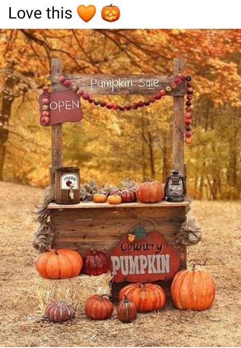 Fall Photo Booth, Pumpkins For Sale, Fall Backdrops, Photo Halloween, Pumpkin Stands, Photography Autumn, Fall Mini Sessions, Harvest Party, Fall Fest