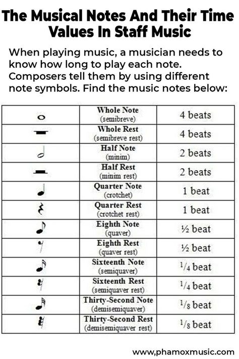 When playing music, a musician needs to know how long to play each note. Composers tell them by using different note symbols. Let’s take a look at some of the music note types we definitely need to know about when learning to read music. Read Music, Sheet Music Learning, Music Study Notes, How To Read Sheet Music, How To Read Music, Learn Music Notes, About Music, Music Theory Notes, Learning Music