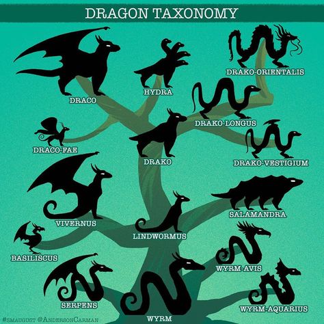 6,580 Me gusta, 55 comentarios - Anderson Carman (@andersoncarman) en Instagram: "Here is a handy guide for all you dragon fans out there of Dragon Taxonomy. - Some dragons have no…" Six Legged Dragon, Dragon Chart, Creatures Reference, Dragon Types, Dragon Reference, Dragon Facts, Dragon Classes, Dragon Ideas, Dragon Designs