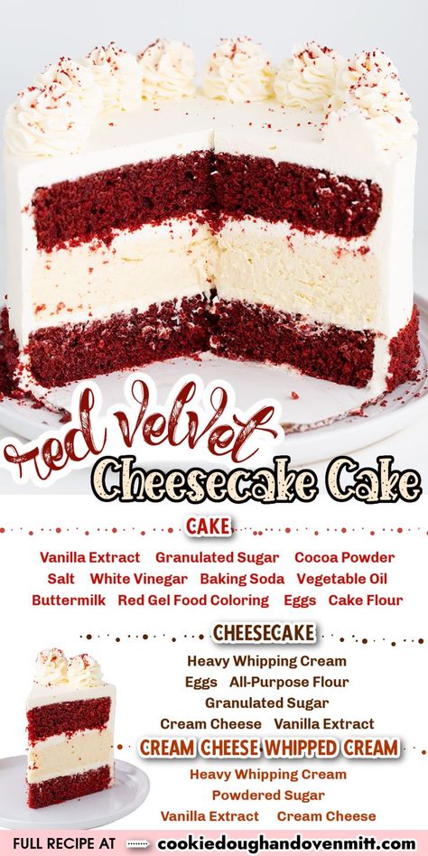 This over-the-top Red Velvet Cheesecake Cake has two layers of homemade red velvet cake with a crustless vanilla cheesecake center and a cream cheese whipped cream frosting. It's rich, decadent, and the perfect dessert to serve for Valentine's Day or for any occasion! Cream Cheese Whipped Cream Frosting, Red Velvet Cake Recipe Easy, Homemade Red Velvet Cake, Red Velvet Cheesecake Cake, Cream Cheese Whipped Cream, Cheesecake Cake Recipes, Velvet Cheesecake, Red Velvet Cake Recipe, Velvet Cake Recipes