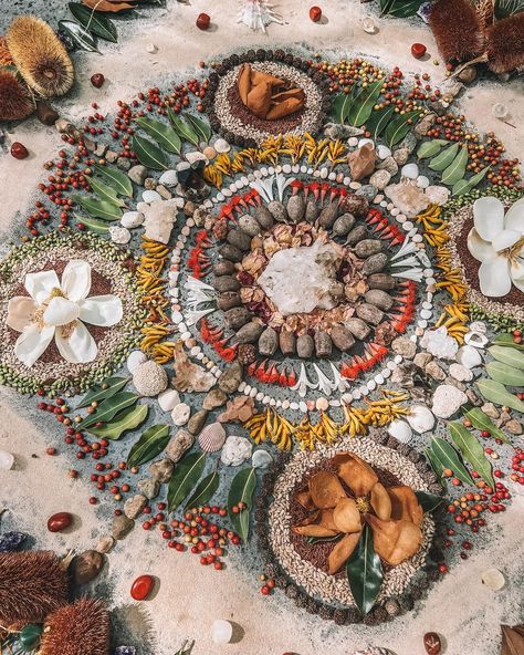 A very special Earth Altar for a retreat with @w.th.n.u at @soma.byron in November last year 🥰 I find myself back on Bunjalung Country for the remainder of the year, if your in the Northern Rivers, NSW and would like to bring some Earth Altar magic to your event or you feel inspired to collaborate with workshops or gatherings, please get in touch. Feels good to be here! ∗ ∗ ∗ ∗ ∗ #earthaltar #mandalamagic #healingthroughnature #connection #naturalmedicine #mindbodyspirit #mindbodyspiritcon... Earth Altering, Earth Altar, Soul Energy, Nature Mandala, Healing Space, Flower Circle, Mandala Dots, Mind Body Spirit, White Tiger