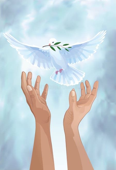 Hands Releasing White Dove into Sky To the Sun Stock Photo - Image of nature, bird: 19588334 Images Of Peace, Dove Of Peace, White Dove, White Doves, Nature Images, Paloma, Holy Spirit, Adobe Stock, The Sky