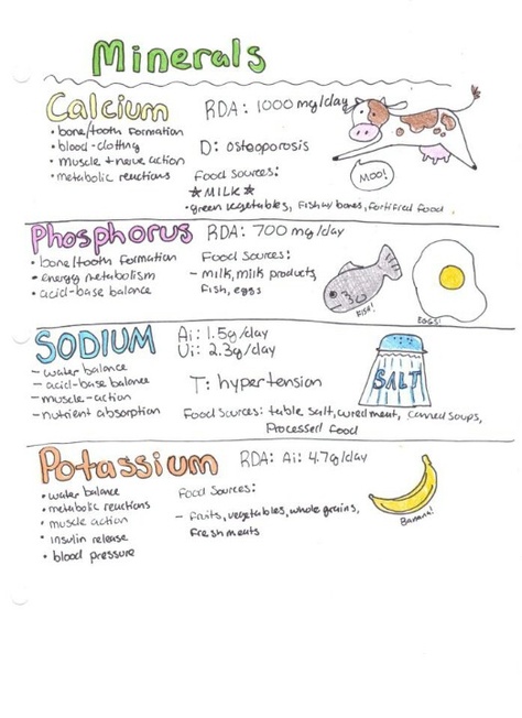 Nutrition Nursing Mnemonics, Dietitian Study Notes, Nutrition Nursing Notes, Nursing Nutrition, Nutrition Nursing, Dietetics Student, Biochemistry Notes, Clinical Chemistry, Lpn Schools