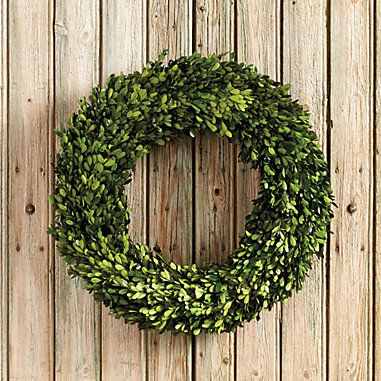 Preserved Boxwood Wreath Boxwood Wreaths, Boxwood Garland, Preserved Boxwood Wreath, Wreath For Christmas, Coordinates Decor, Preserved Boxwood, Den Ideas, Wreath Indoor, Gift Wreath