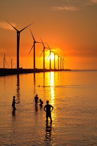 windpower, Taichun, Taiwan Solar Products, Taichung Taiwan, Mangrove Swamp, Old Windmills, Outdoor Pictures, Wind Turbines, Choi Min Ho, Taiwan Travel, Wind Farm