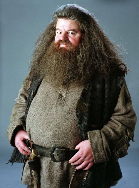 Robbie Coltrane as Hagrid in Harry Potter Robbie Coltrane, Hagrid Quotes, Hagrid Costume, Harry Potter Now, Harry Potter Portraits, Harry Potter Marathon, Harry Potter School, Rubeus Hagrid, Harry Potter Icons