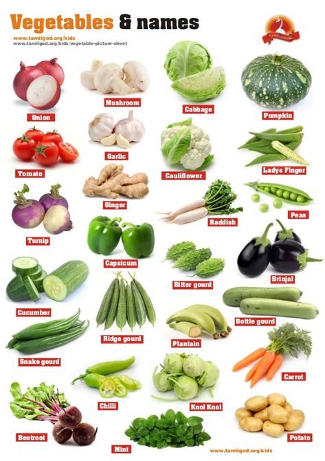 Vegetables Names With Pictures, Fruits And Vegetables List, Name Of Vegetables, Vegetable Chart, Kids Vegetables, Vegetable Pictures, Fruit Names, List Of Vegetables, Food Vocabulary