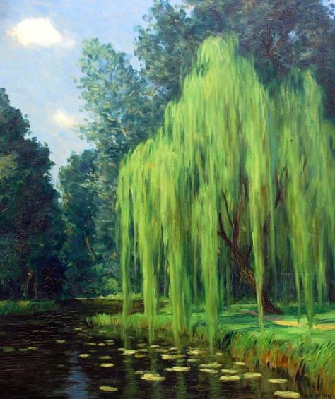 Willow Tree Art, Weeping Willow Tree, Willow Trees, Monet Paintings, Weeping Willow, Watercolor Trees, Tree Drawing, Willow Tree, Ethereal Art