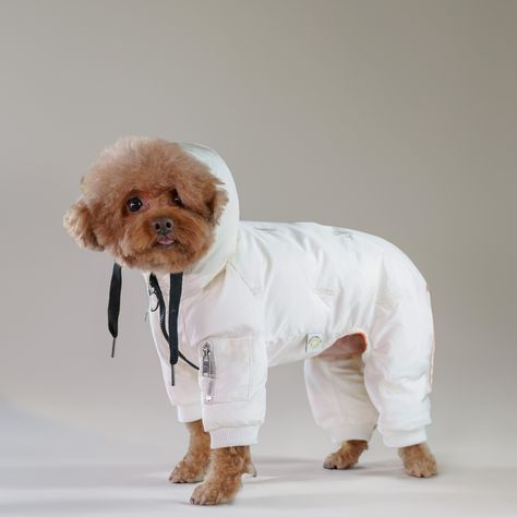 🐾 All-in-One Winter Protection! 🐾 Stay cozy from head to paw! Our full-coverage puffer jacket wraps your pup in warmth, protecting all four legs from the winter chill. Perfect for the adventurous dog who loves to explore, even in colder weather. ❄️💙 Dog Snowsuit, Dog Jackets Winter, Morning Walks, Dog Coat, Pet Fashion, Dog Jacket, Winter Dog, Stay Active, Dog Park