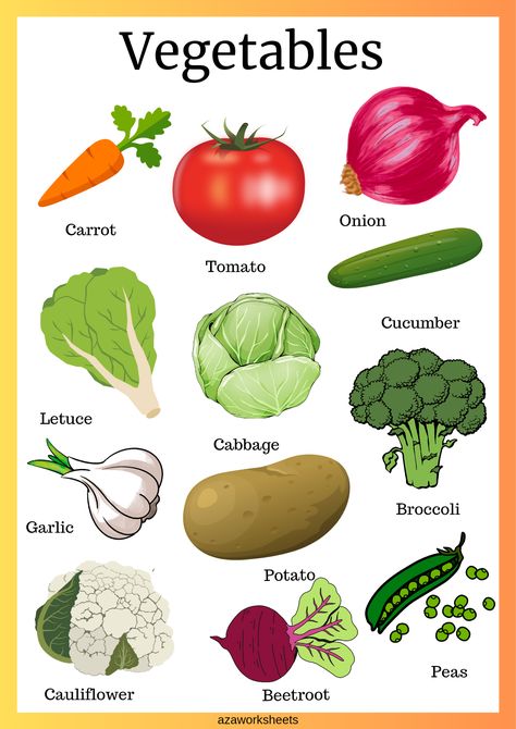 Animals, vegetables,vehicles, and fruits identification charts – azaworksheets Fruit Vegetables Worksheet, Vegetables Pictures For Kids, Healthy Food Pictures For Kids, Vegetables Worksheets Kindergarten, Fruits Chart For Preschool, Vegetable Worksheets Preschool, Vegetables Worksheets For Kids, Fruits And Vegetables Worksheet, Vegetables Kindergarten