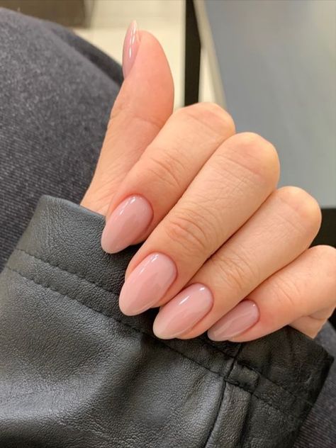 Cute Short Acrylic Nails Almond Shape, Simple Almond Nails Designs Neutral, Short Almond Nails Designs 2024, Acrylic Nails Neutral Colors, Neutral Almond Acrylic Nails, Kyle Nails, Neutral Nail Designs Almond, Neutral Almond Shaped Nails, Short Almond Nude Nails