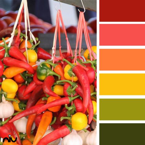 Hot Chilli and Peppers Hot Sauce Color Palette, Spicy Color Palette, Color Palette Mexico, Garlic Braiding, Food Colour Palette, Bell Pepper Colors, Rgb Palette, Food Colors Palette, Gray Palette