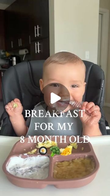 🌻✨Mummy & Kids Love ✨🌻 on Instagram: "Making Breakfast for baby 8 months old 🍳🥦🧀 ( 📸: Creatively Emi ) #babyledweaningrecipes #babyledweaningideas #baby #babyfoodideas #babyfood #babyrecipes #fyp #foryoupage #babymeals #babyfoodprep #babyledeating #weaningideas #babyhealthyfood #reels #babyboy #babygirl #followers #highlights #homemadebabyfood #babyhealthyfood #fingerfood #babyplate #babyblogger #babyfoodrecipes #homemade #babyfoodidea #lunchtime #blw #blwideas #toddlermeals" Breakfast 8 Month Old, Babymoov Duo Meal Station Recipes, Meal Ideas For 13 Month Old, 9 Months Food Ideas, Breakfast For Babies 8 Months, What To Feed 8 Month Old Baby, Blw 8 Month Old, 10 Month Breakfast Ideas, 9 Month Dinner Ideas