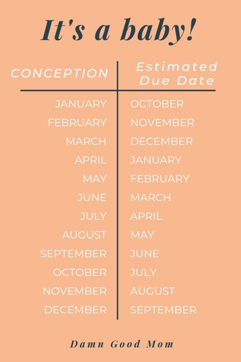 Our due dates are estimates. Here is a common chart of estimated due dates just be mindful that babies come on their own time. Congrats!! #baby #conception #pregnancy #damngoodmom Pregnancy Month Chart, Pregnancy Chart Conception, Conceiving Chart Months, Baby Planning Timeline, Baby Conception Chart, Pregnancy Preparation Timeline, Conception Month Birth Month, Planning For Pregnancy, Pregnancy Planning Timeline