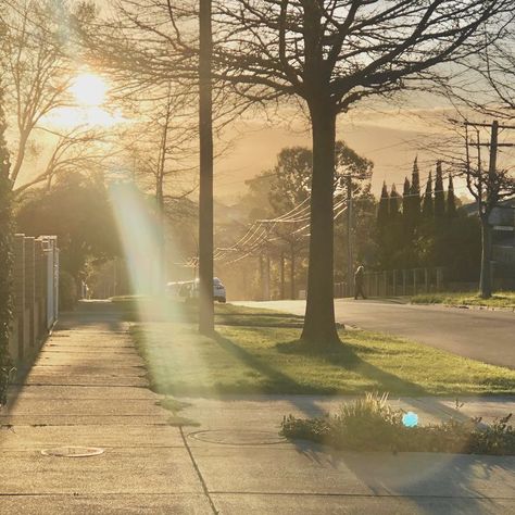 Nature, Traffic Lights Aesthetic, Sunny Day Photography, Aesthetic Birds, Perspective Landscape, Sunrise City, Lights Aesthetic, Warm Aesthetic, Yellow Pastel