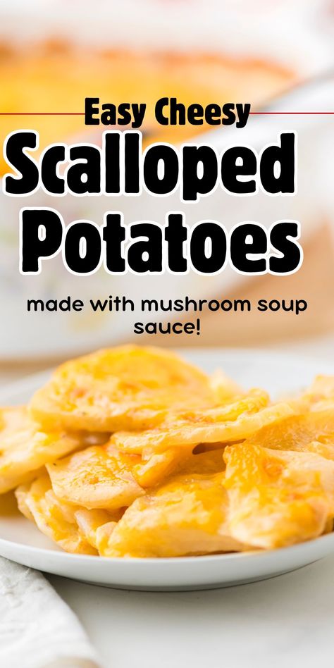 Easy Cheesy Scalloped Potatoes with Mushroom Soup Recipe Easy Scalloped Potatoes Made With Cream Of Mushroom Soup, Campbells Soup Scalloped Potatoes, Cream Of Potato Recipes, Scallop Potatoes With Mushroom Soup, Cream Of Mushroom Soup Potatoes, Scalloped Potatoes Cream Of Chicken, Scalloped Potatoes With Mushroom Soup Easy, Campbells Cheddar Cheese Soup Scalloped Potatoes, Scalloped Potatoes No Onion