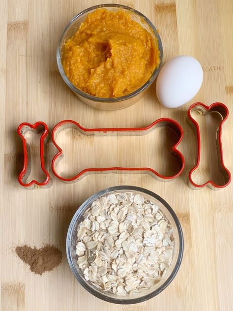 Made with just 3 ingredients + cinnamon, this oatmeal pumpkin dog treat recipe is a healthy alternative to store-bought treats. Oatmeal Pumpkin Dog Treats Easy, Pumpkin Oat Flour Dog Treats, Pumpkin Oat Dog Treat Recipe, Dog Treats With Oatmeal, Dog Cookies Recipe Easy Pumpkin, Easy Pumpkin Treats For Dogs, Oatmeal Dog Treats Easy, Healthy Pumpkin Dog Treats, Zucchini Dog Treat Recipes