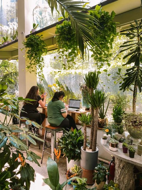 Cafe In Greenhouse, Secret Garden Cafe Ideas, Plant Cafe Design, Plant Cafe Interiors Coffee Shop, Instagram Worthy Cafe, Plant Cafe Interior, Plant And Coffee Shop, Cafe Plants Interiors, Greenhouse Coffee Shop