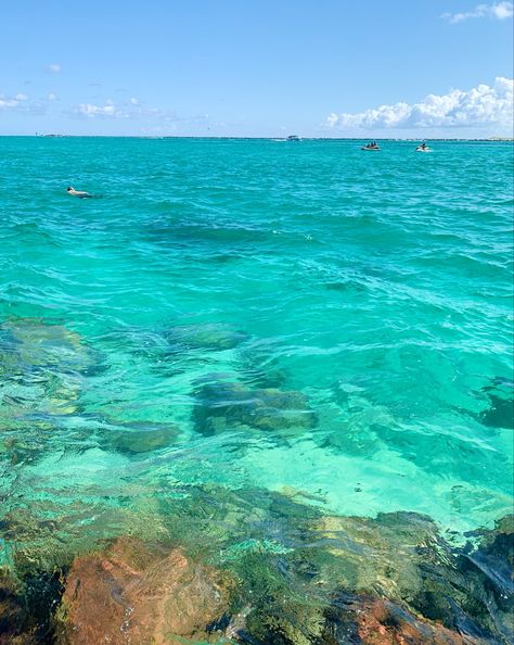 Clear Tropical Water, Tropical Water Aesthetic, Clear Beach Aesthetic, Ocean Reef Aesthetic, Aesthetic Tropical Pictures, Bright Ocean Aesthetic, Clear Ocean Water Aesthetic, Sunny Summer Aesthetic, Teal Summer Aesthetic