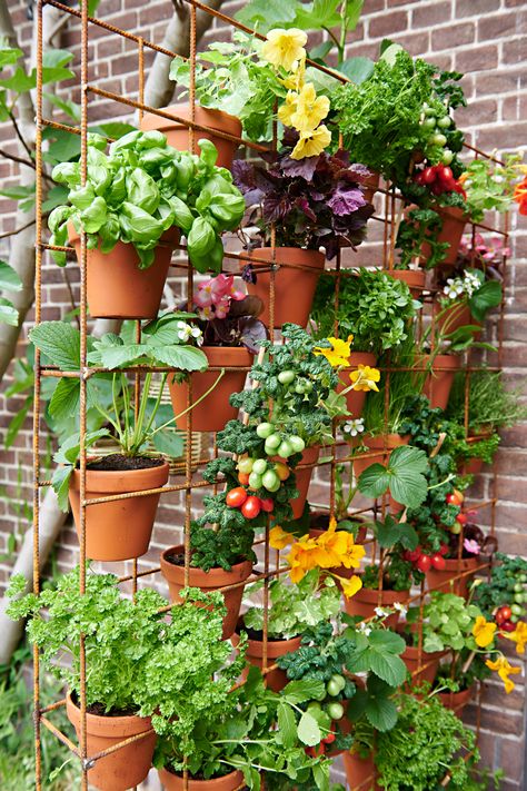 Urban Gardening, Vegetable Garden Design, Urban Gardening Balkon, Apartment Vegetable Garden, Jardim Diy, Small Balcony Garden, Veg Garden, Home Vegetable Garden, Container Gardening Vegetables