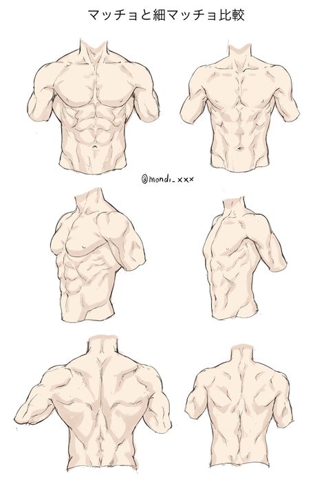 Male Body Drawing, Male Art Reference, Man Anatomy, Human Anatomy Drawing, Body Drawing Tutorial, Human Anatomy Art, Anatomy Sketches, Body Reference Drawing, 캐릭터 드로잉